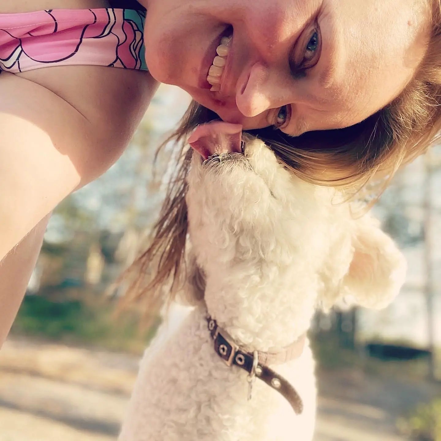 From end to start - story 6 - SHALMIAK