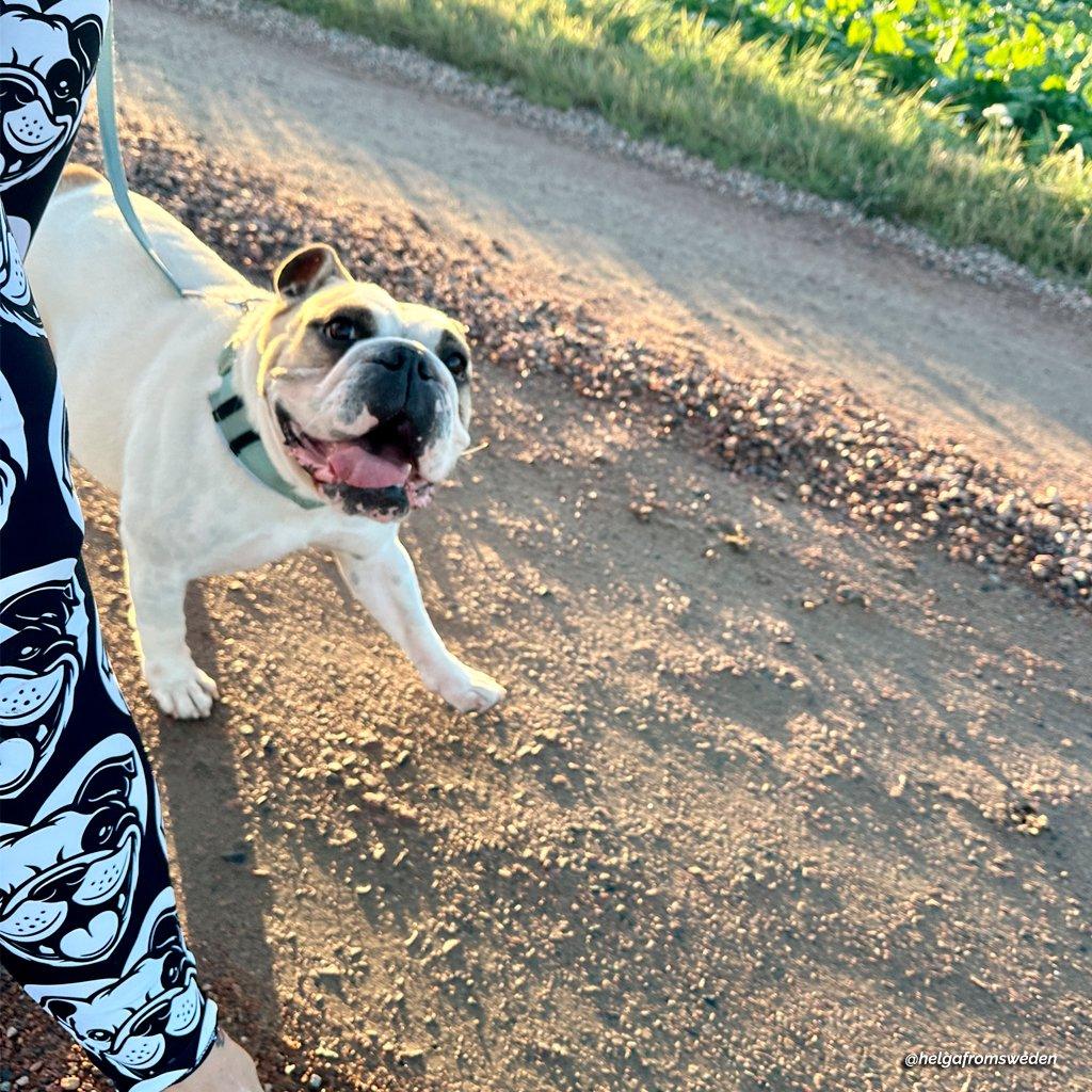 Dog breed leggings with pockets - BULLDOG ENGLISH BOSTON - HERTTAHOUND