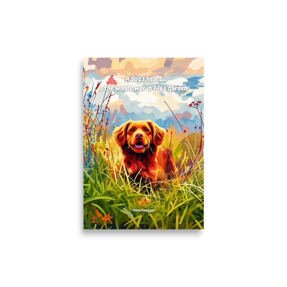 Poster - A dog’s heart is the wildflower in life’s garden 21×30 cm