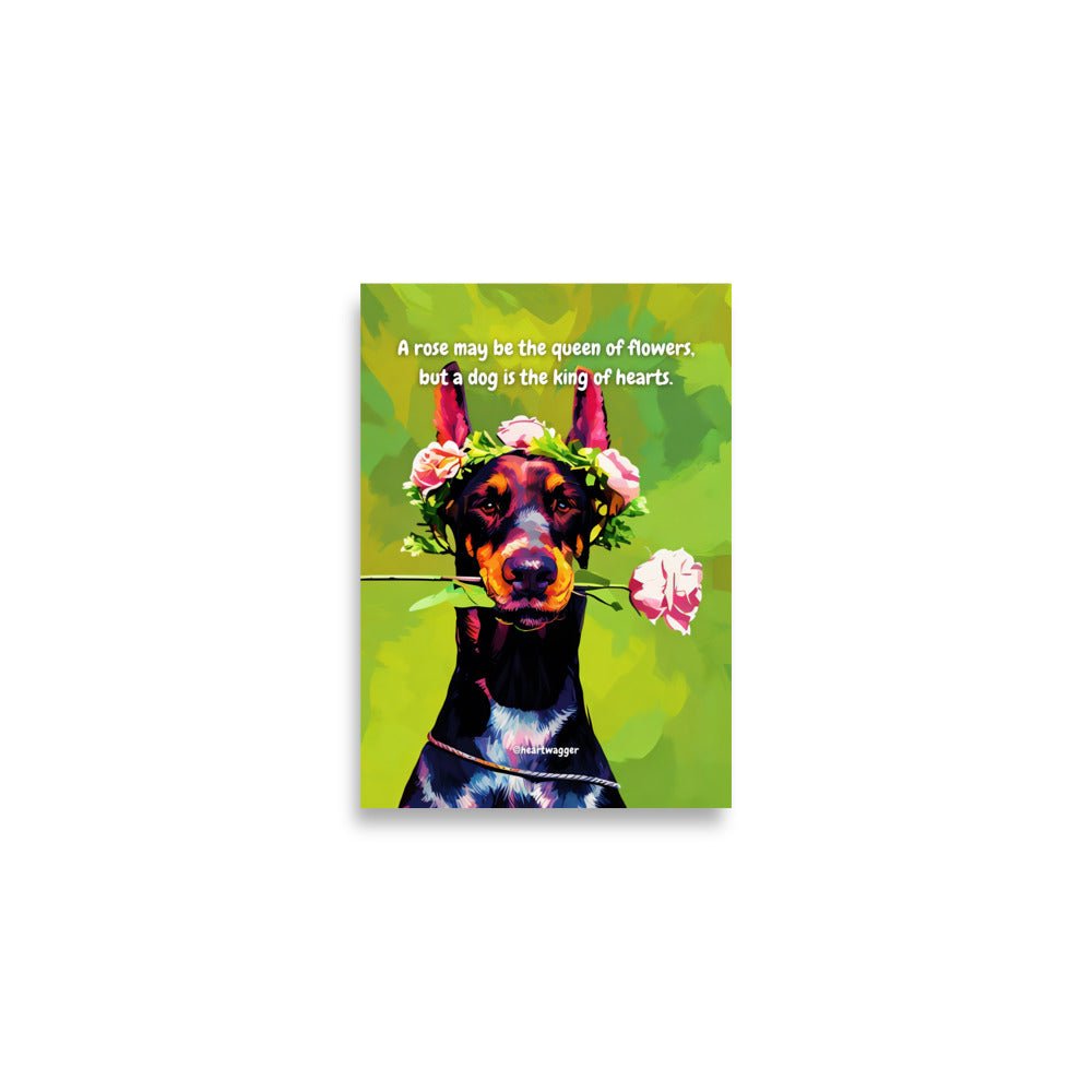 Poster - A rose may be the queen of flowers, but a dog is the king of hearts A2 (42×59.4 cm)