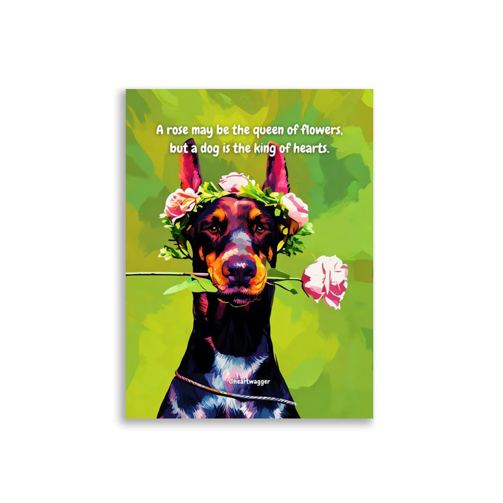 Poster - A rose may be the queen of flowers, but a dog is the king of hearts 30×40 cm