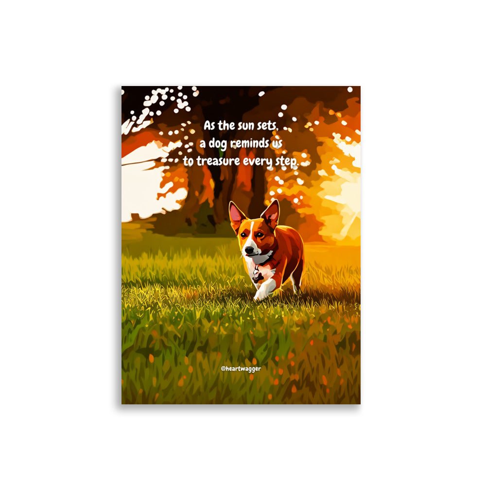 Poster - As the sun sets, a dog reminds us to treasure every step 30×40 cm