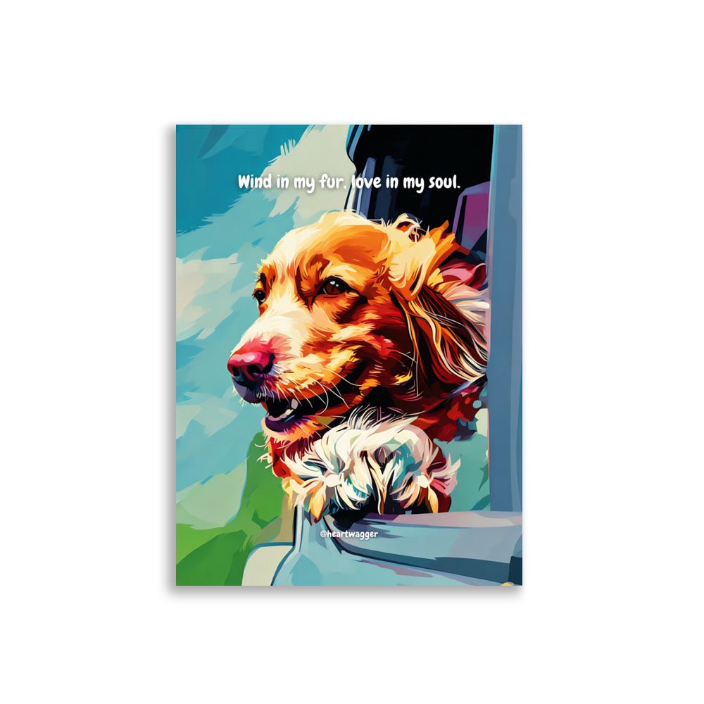 Poster - Wind in my fur, love in my soul 30×40 cm