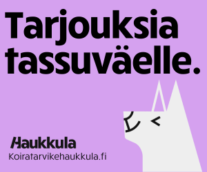 Ad - Haukkula.